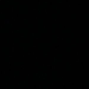 Meet your Posher, Nicholas